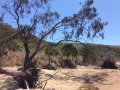 yeppoon2
